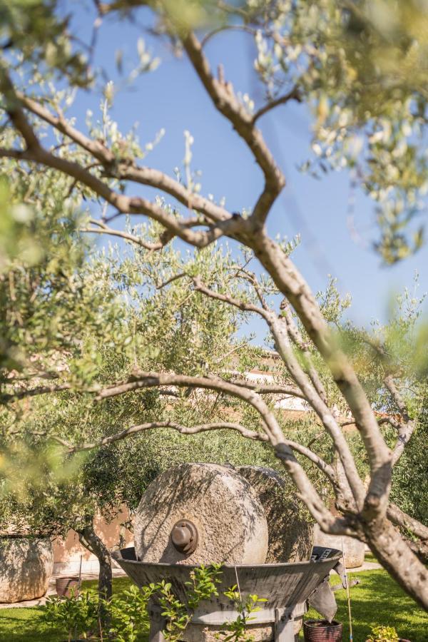 Bb Olive Seget (Umag) Exterior foto