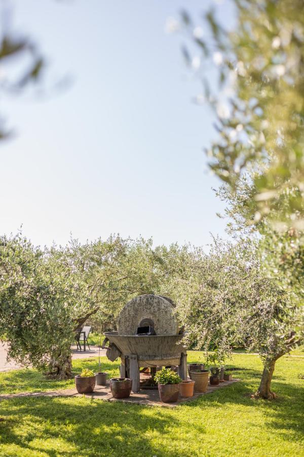Bb Olive Seget (Umag) Exterior foto